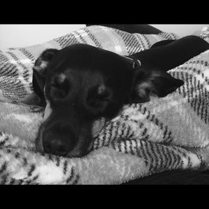 Meet your Posher, Lisa